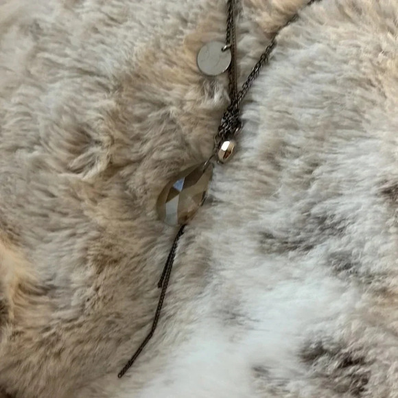 Express Necklace - Picture 7 of 13